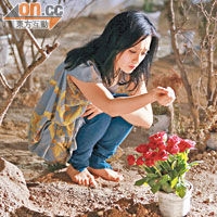 ���ɞ�ǿ��t�״����_����MV��ʮ�ֽo����